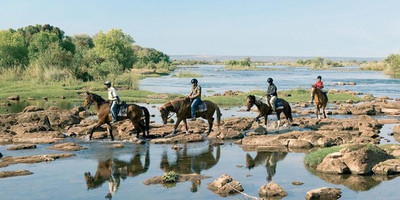 Horse trails - Photo 1