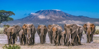 4 days lake nakuru masai mara camping safari - Photo 2