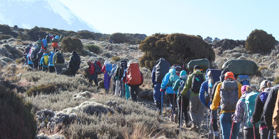 8 days kilimanjaro climb via lemosho route - Photo 2
