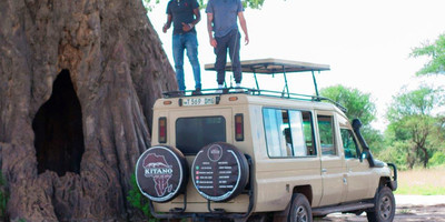 2 days tanzania safari last minute tarangire & ngorongoro crater - Photo 4