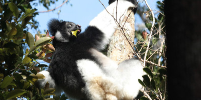 Discover the south of madagascar and relaxation - Photo 4