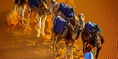10 days private tours from casablanca - Photo 1