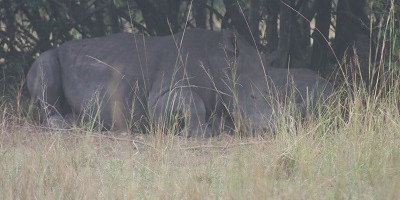 3 days breathtaking safari to murchison falls national park - Photo 1