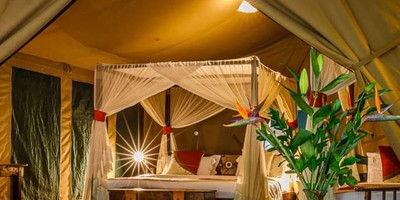 Kenya’s top safari adventure: 8 days of game drives & breathtaking views - Photo 6