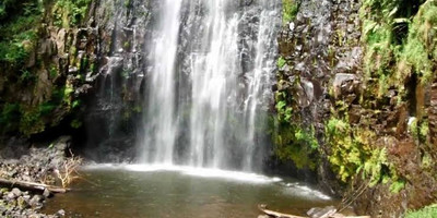 Day walk tour while away at materuni village & splendorous waterfall adventure - Photo 1