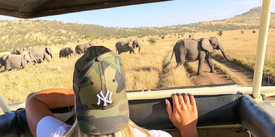 Camping safari to manyara, serengeti and ngorongoro. - Photo 1