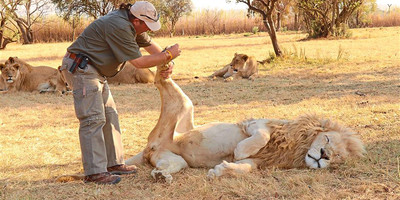 Lion and rhino safari - Photo 2
