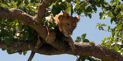 The ultimate african adventure - Photo 5