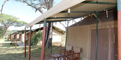 7 DAY TANZANIA SPECIAL TENTED CAMPS SAFARI - Photo 2