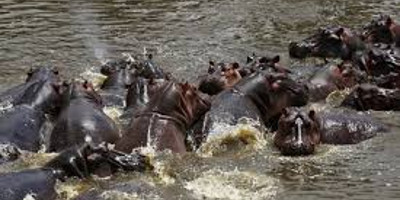 9 days kenya photography safari adventure - Photo 4