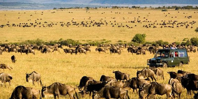 3 days maasai mara safari - Photo 4