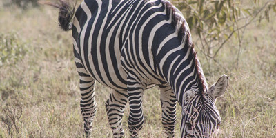 8-day uganda's finest tourism destinations - Photo 9