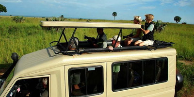 The ultimate, africa adventure: savannah wildlife, chimpanzee tracking, and gorilla safari - Photo 4