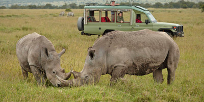 10 days wildebeest migration crossing mara river. - Photo 6