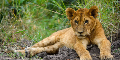 5-day tanzania camping safari - Photo 1