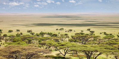 3 Days On Budget Safari - Photo 7