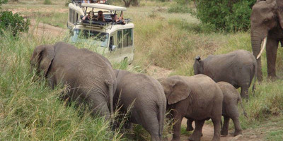 5 days uganda big five safari - Photo 4