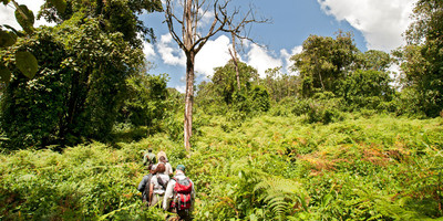 Amaizing safari to the western parks in tanzania - Photo 4