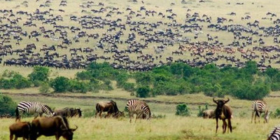 12 days kenya camping safari tour adventure safaris packages - Photo 2