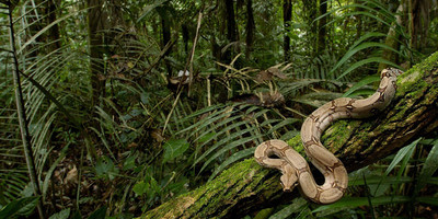 Masoala adventure tour - Photo 12