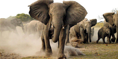 4 days - masai mara and lake nakuru - Photo 2