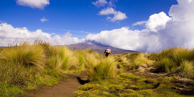 Mount kenya sirimon narumoru, 4 days climbing - Photo 1