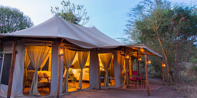 8 day tanzania wildlife safari and cultural tourism - Photo 9