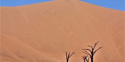 8 Days Taste of Namibia Safaris - Photo 8