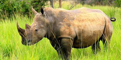 8 days uganda adventure safari - Photo 3