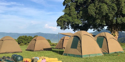4 days camping tour to best wildlife parks in tanzania - Photo 9