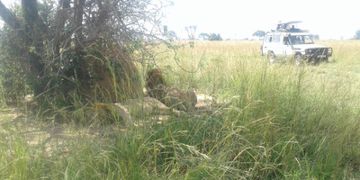 Murchison falls national park tour - Photo 4