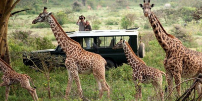 1 day joining safari in tarangire national park with burigi chato safari co l.t.d - Photo 5