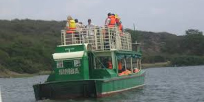 A 20 days birding trip inclusive of kidepo n.park and rwanda - Photo 11