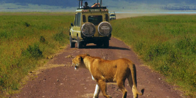 3 days tanzania private safari arusha national park -tarangire -ngorongoro - Photo 4