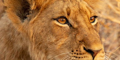 4 day tanzania camping safari - Photo 7