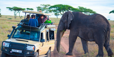 6 days big five safari holidays - Photo 3
