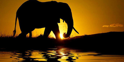 Tanzania classic bush safari adventure - Photo 4