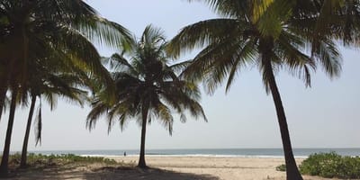 Niambodecouverte, casamance - Photo 7