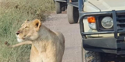 Ultimate 5-day masai mara, lake nakuru & aberdares safari - Photo 5