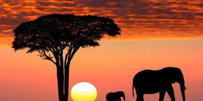  7 days andbeyond masai mara serengeti flying safari holiday package - Photo 2