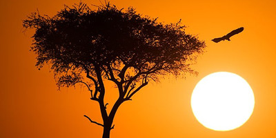 6 days adventure to the maasai mara - Photo 9