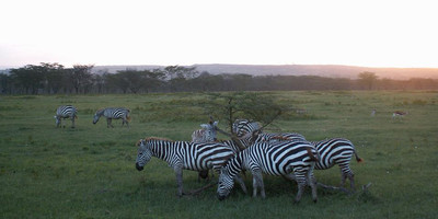 Kenya budget camping safari adventure - Photo 9