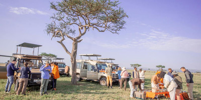 6 days adventure of exploring tanzanian iconic national parks - Photo 1