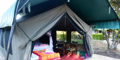 4 DAYS 3NIGHTS SAFARI KENYA - Photo 3