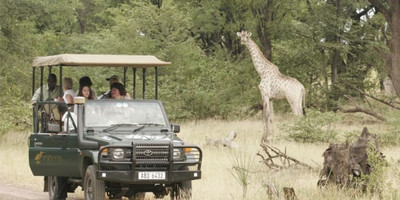 12 nights – Zambia and Zimbabwe Safari (luxury) - Photo 2