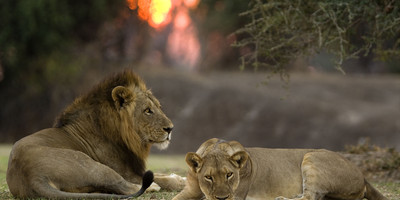 Land and Water Safari - Photo 2