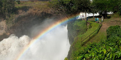 A 20 days birding trip inclusive of kidepo n.park and rwanda - Photo 6
