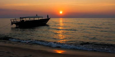 Amaizing safari to the western parks in tanzania - Photo 5