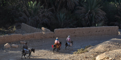 Atlas mountains hiking tour - Photo 2