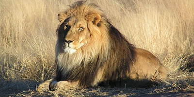 3-day etosha adventure safari namibian (camping) - Photo 2
